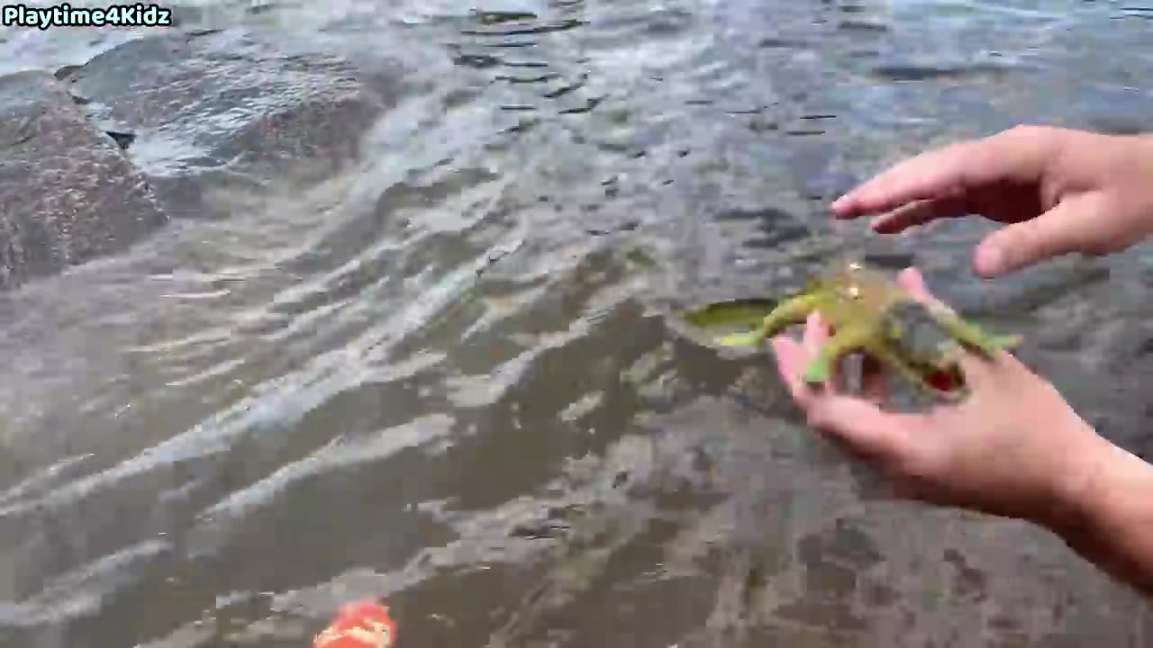 Sea Animals Toys This Summer At The Shore