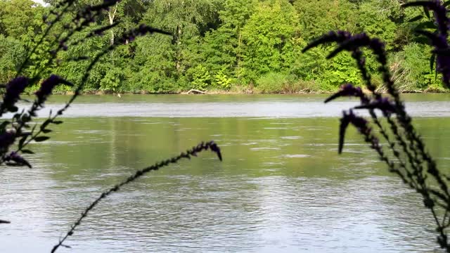 BEAUTIFUL NATURE OF THE CAUCASUS MUSIC FOR THE SOUL RELAX SPRING