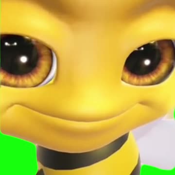 Bee Raising Eyebrows | Green Scren