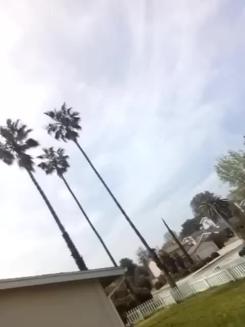 "TUESDAY = WHITE DAY" (1:28pm, Apr 9, 2023)