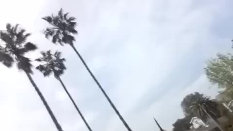 "TUESDAY = WHITE DAY" (1:28pm, Apr 9, 2023)