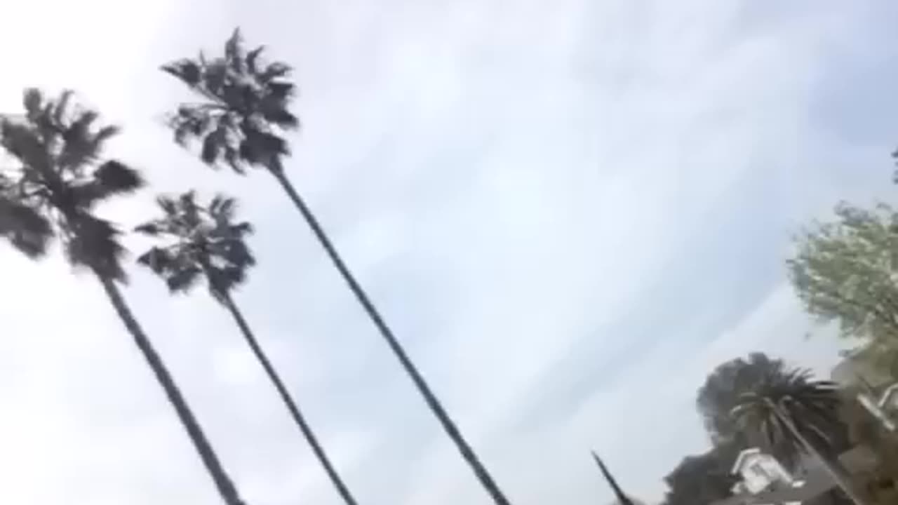 "TUESDAY = WHITE DAY" (1:28pm, Apr 9, 2023)