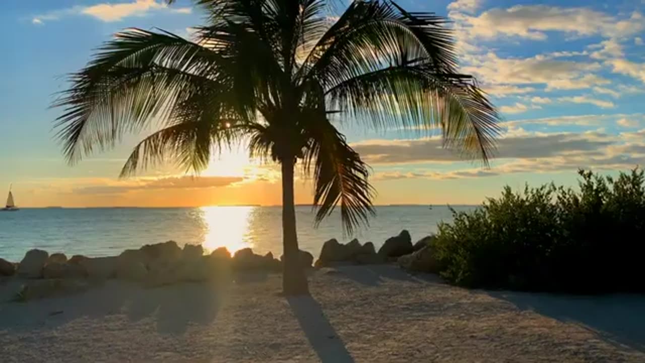 Relaxing Music | Sleeping, Meditation, Stress Relief | [8017] ⭐️