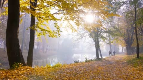 Enchanting Autumn Forests with Beautiful Piano Music