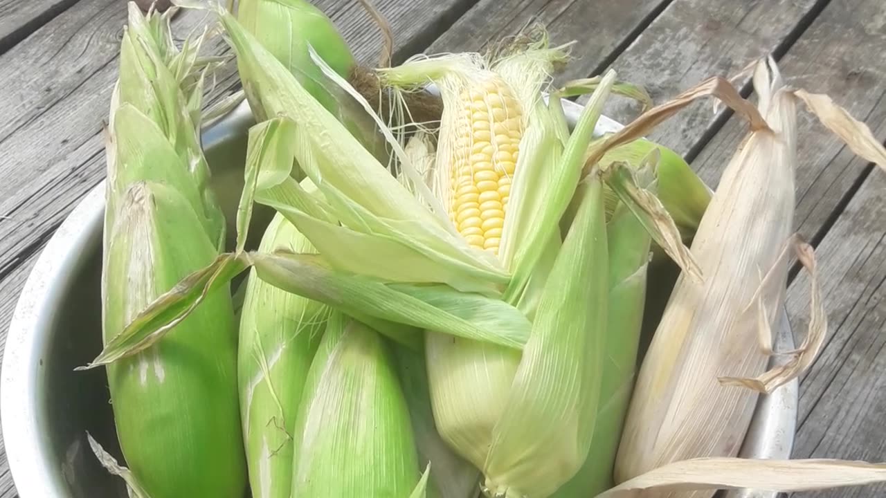 Harvested corn