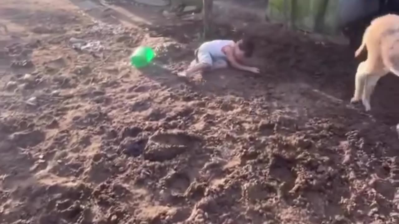 Little Boy Falls Off of a Donkey