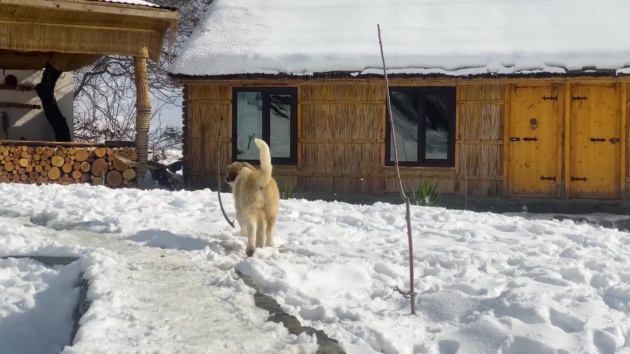 Cooking in the beautifull mountains