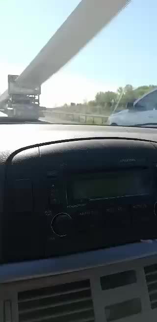 Not every day you see this. What is this?