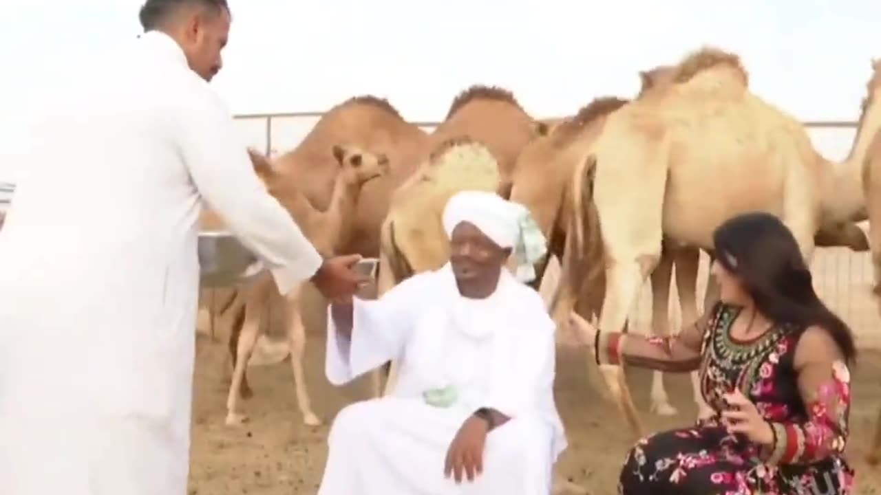 camel kick