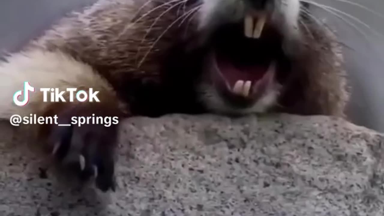 Funny