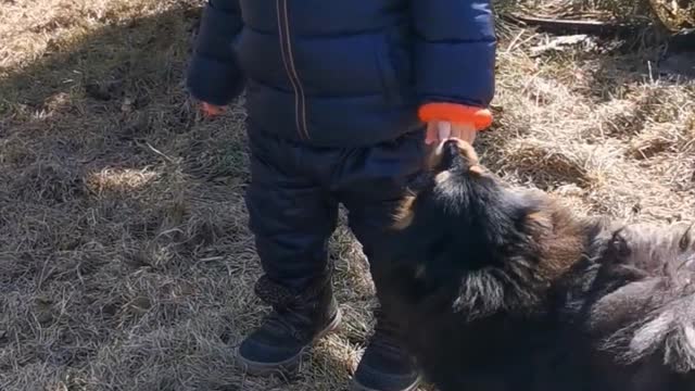 Baby stand with puppies