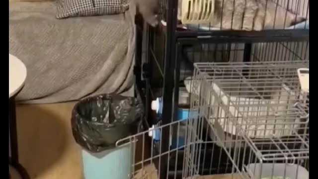 Funny moment. Did you laugh?