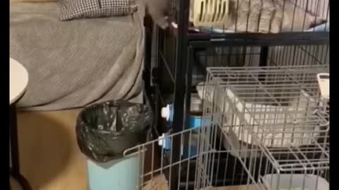 Funny moment. Did you laugh?
