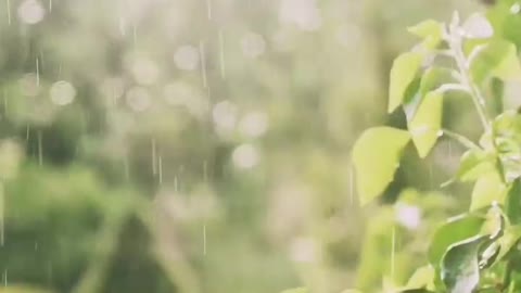 Indian Song Relaxing in Rain