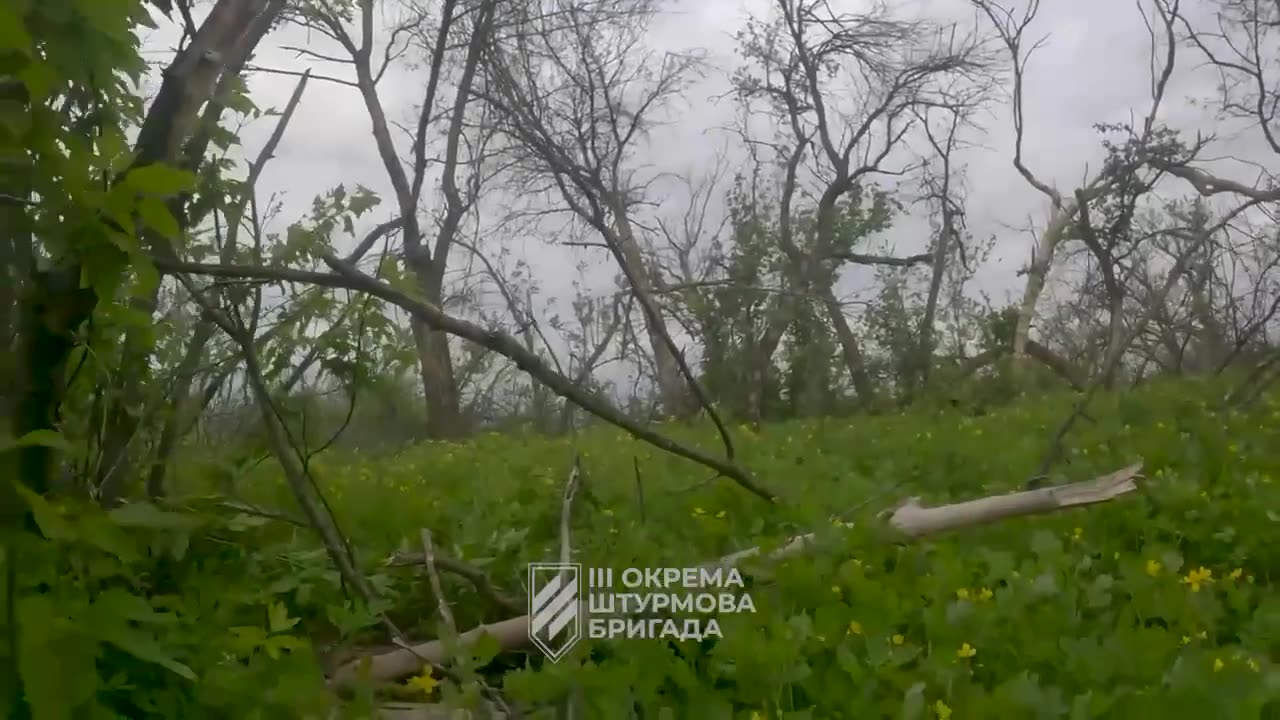 Storming the positions of the occupiers near Bakhmut