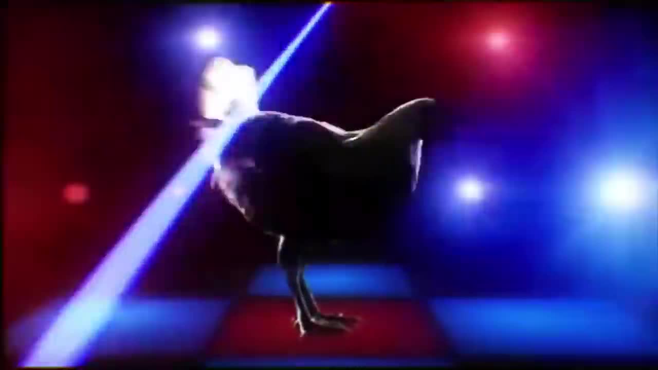 Techno Chicken Song #music #chicken #remix2