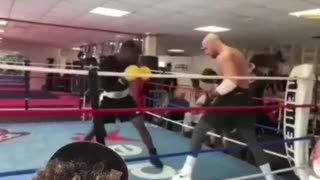 Andrew Tate getting knocked out ⁉️😱 #shorts #andrewtate #viral #foryou #fyp #fight