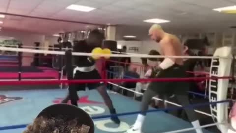 Andrew Tate getting knocked out ⁉️😱 #shorts #andrewtate #viral #foryou #fyp #fight