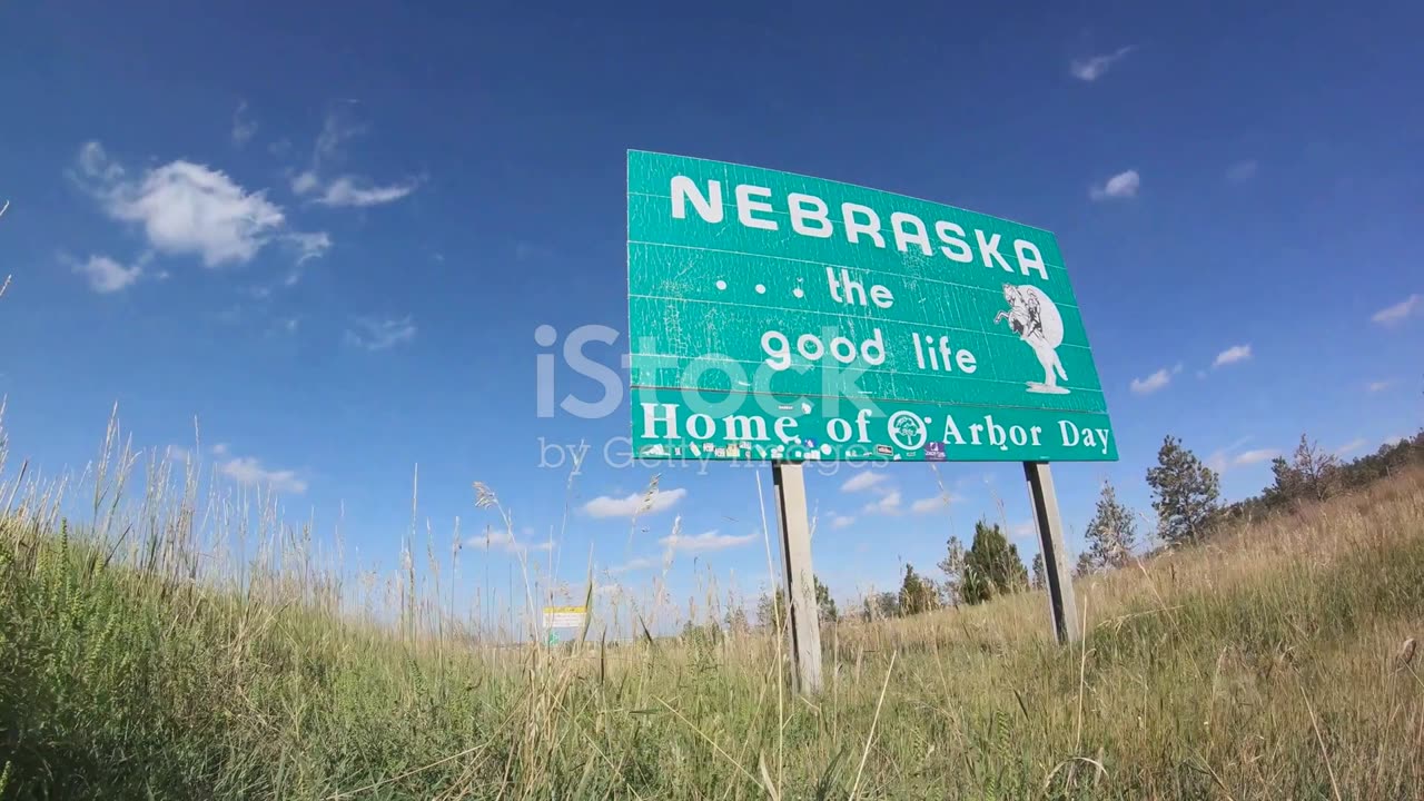 Car with giant bull named Howdy Doody riding shotgun pulled over in Nebraska