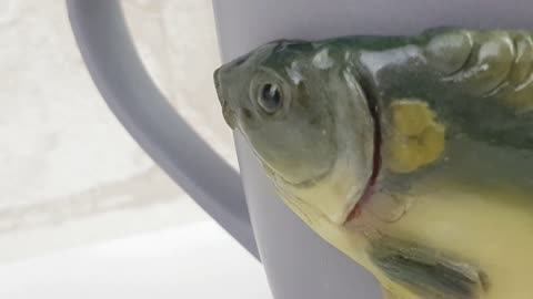 Gift to the fisherman cup with fish MIRROR CARP. A cool gift for a man, son, husband, father