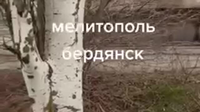 The column goes to Zaporozhye
