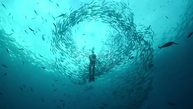 Look how a man got stuck among the fish inside the sea