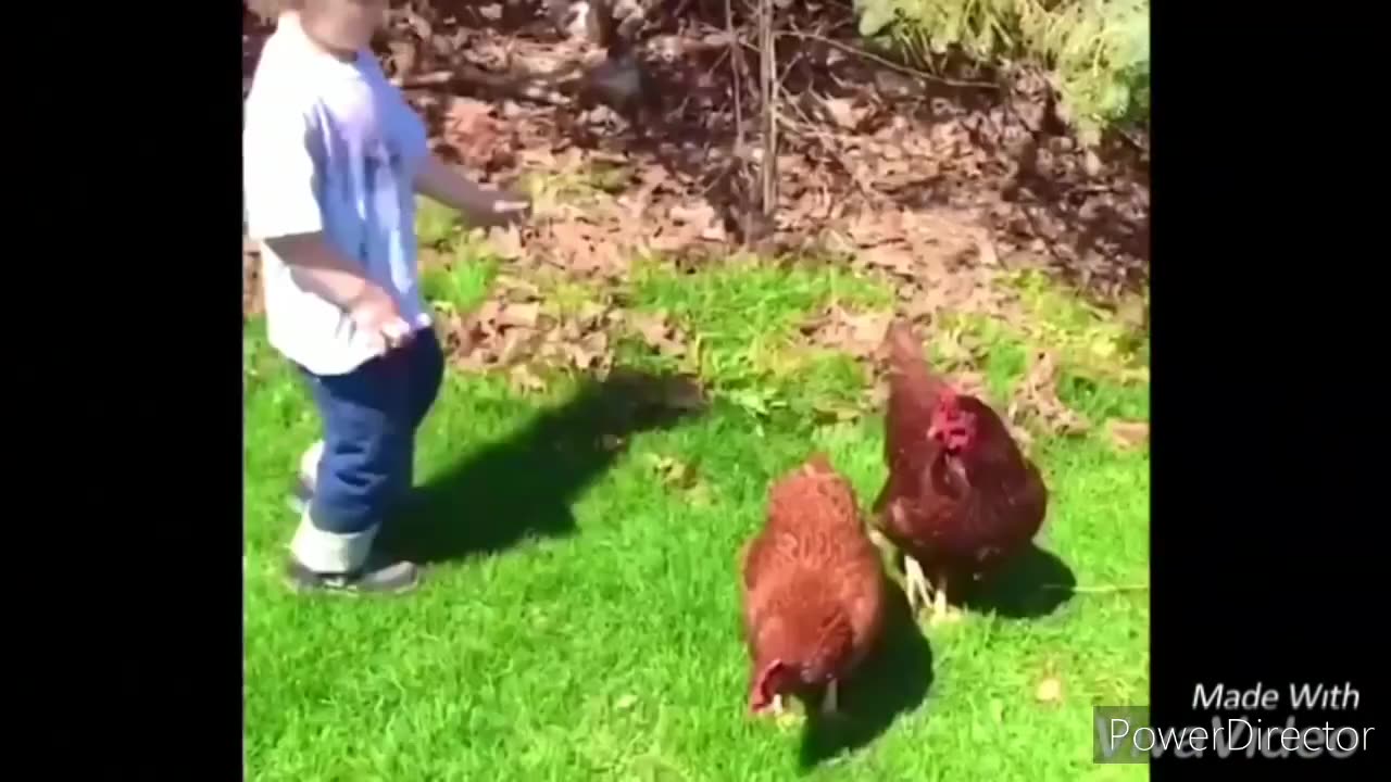 Funny chickens and roosters Chasing kids and adults 😂😂__funny videos compilation 2023