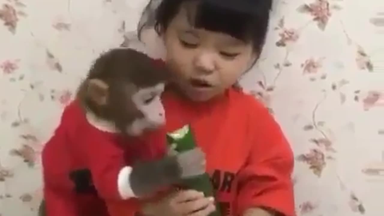 Little Girl & Monkey Share the SWEETEST Moments! #JungleBFFs"🐒❤️