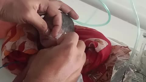 How to give oxygen to a baby