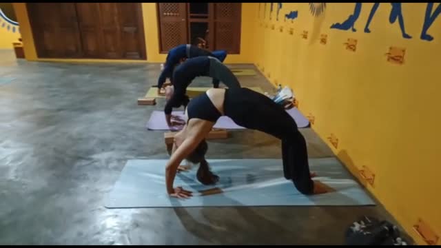 Wheel pose or urdhva dhanurasana pose