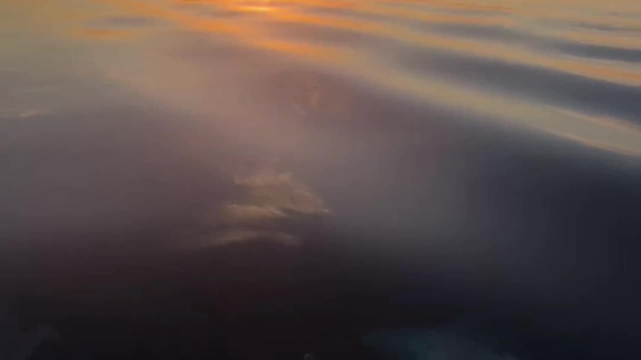 JET SKI Sunset with Dolphins 🤩 | HQ