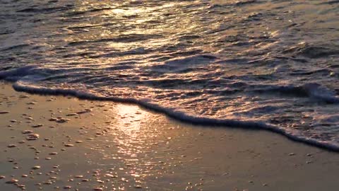 The beach under the setting sun