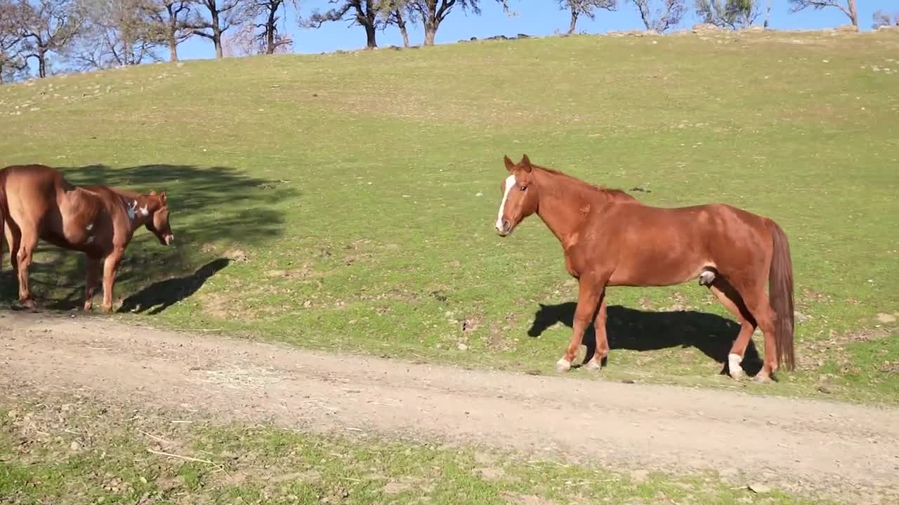 The Ranch at Longhorn Ridge in Napa, California