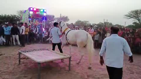 VILLAGE FAIR AND DANCING HORSE