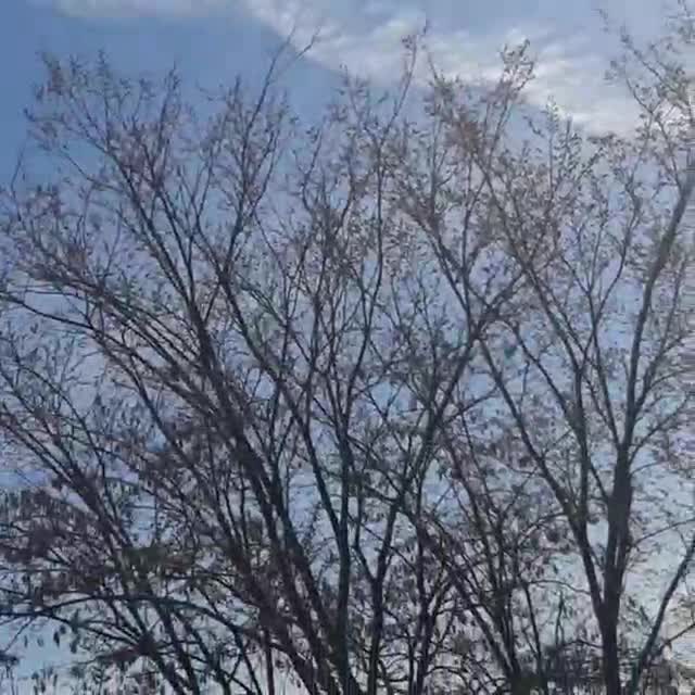 Chemtrails świ.. z uk