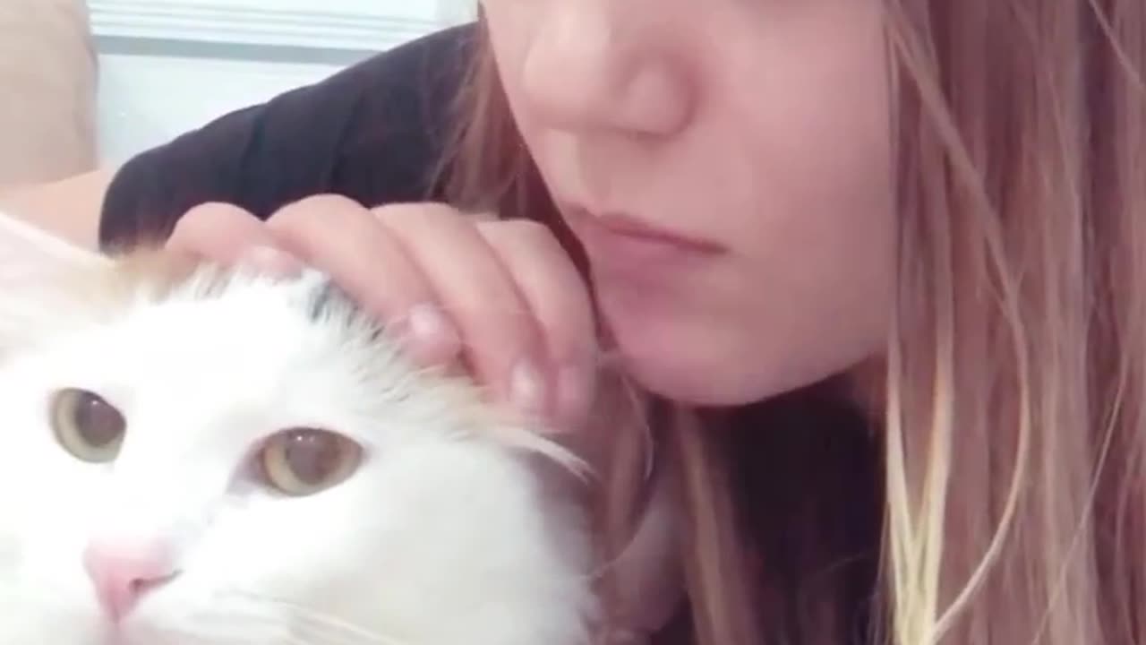 You eat my ears now get a punch🐾 - Follow for more😻