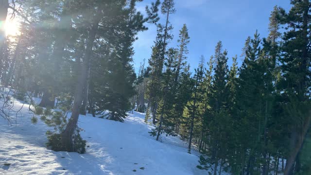 Quintessential Central Oregon in Winter – Upper Three Creek Lake Sno-Park – 4K