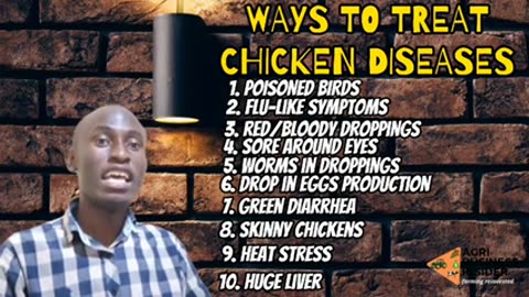 Symptoms of Chicken diseases and how to cure it