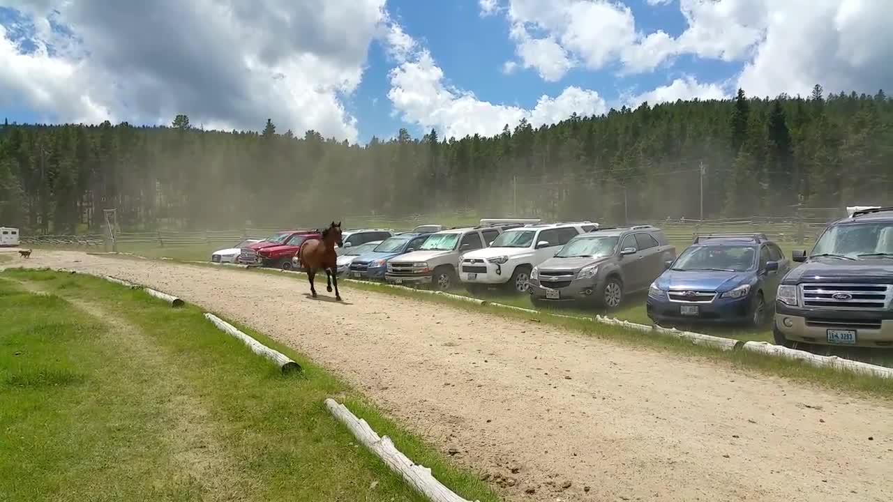 The Running of the Horses - Paradise Guest Ranch During Longmire Days