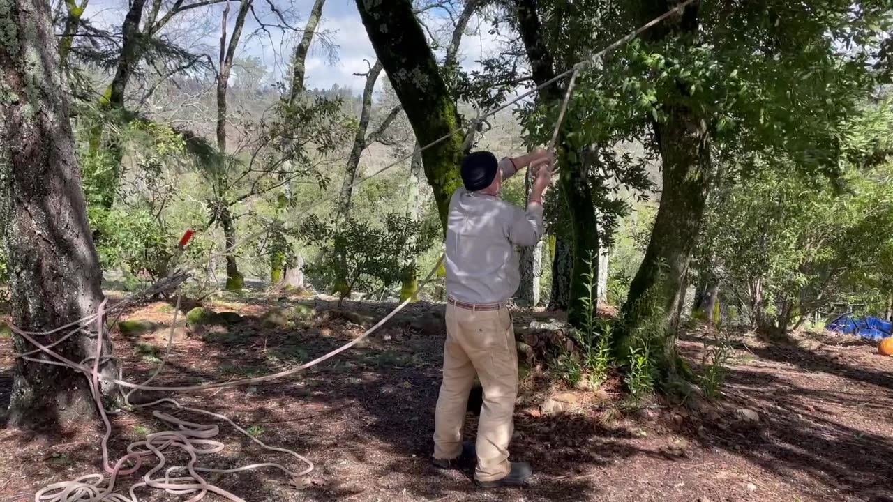 Tree Crushes Water Tank