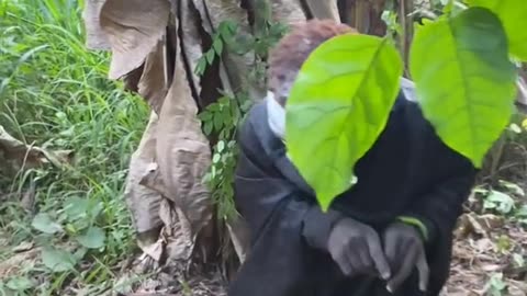 Funny Ghanaian Commedy