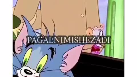 Tom and Jerry cartoon funny