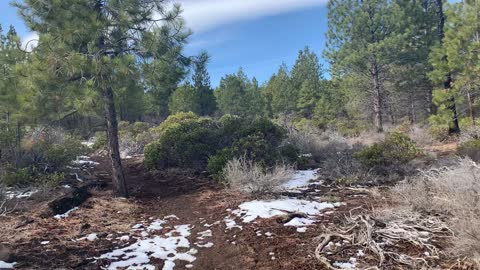 Tip: Base Your Foot Traction Needs on the Highest Point of Your Hike – Whychus Creek