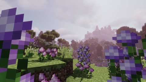 Daily Dose of Minecraft Scenery 26