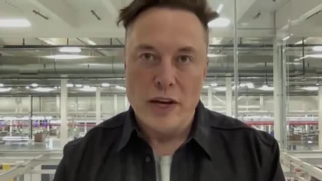 'Delete It': Elon Musk Slams Biden's Build Back Better Bill