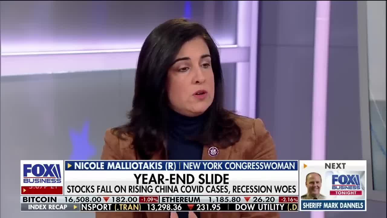 Split Congress causing concerns over direction of the country: Rep. Nicole Malliotakis