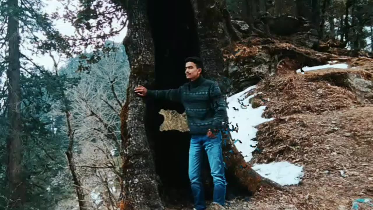 Video editing || nature