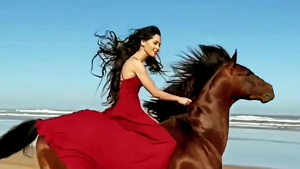 Dubai beach Horse Riding