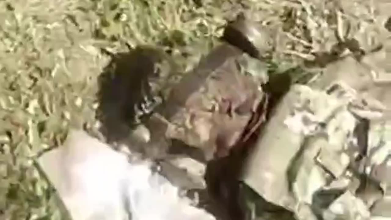 Russian assault squad inspects dead Ukrainian soldiers - strictly 18+