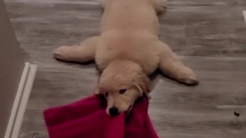 Slidey boi